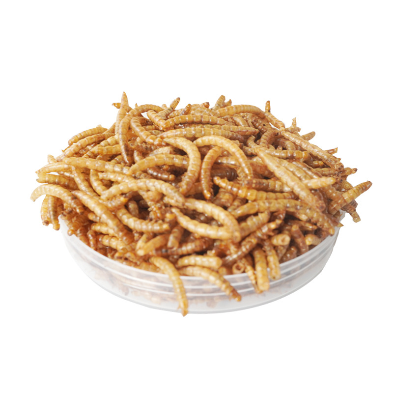 Food Snacks With Protein - Eiwitrijke snacks voor hamsters, vogels, egels,