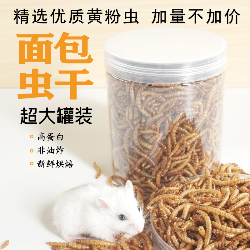 Eiwitrijke snacks voor hamster - Food Snacks With Protein recensie en prijs